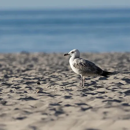 Апартаменты Les Belles, Haus Cecile, Fw Romantique, Whg 5 *